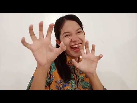 Roar by Katy Perry Cover (Sign Language)