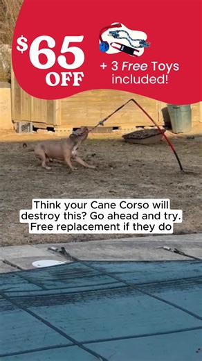 Did you know the #1 cause of dog behavioural issues is lack of mental and physical stimulation? Yes, playtime! A tired dog is a happy dog. And a happy dog is a good dog! That's why we created a toy to stand up to any breed for hours of play, month after month. Check out the toy that's guaranteed to stand up to your dog's tug or we will repair, replace, or refund your purchase. "My 115 lb Rottweiler hasn't been able to pull it out in over a year." -Barry S. 🇺🇸 Shipped from Missouri 👨‍👩‍👧‍👦 