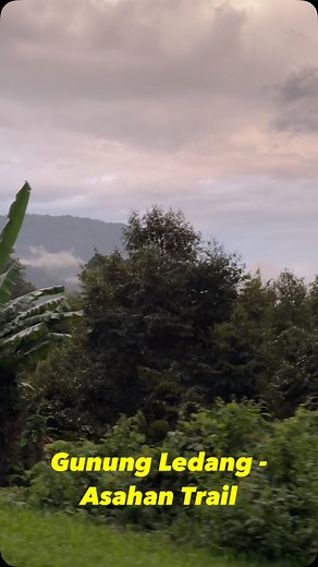 Gunung Ledang (Mt Ophir) via Asahan Trail Mount Ophir is 64th highest mountain in Malaysia. Standing at 1,276 m (4,186 ft),. It takes 4-5 hour to summit and 3-4 hour to descend. #mountain #mountophir #hiking #forest #ﬁtness | Maxwell Kapil