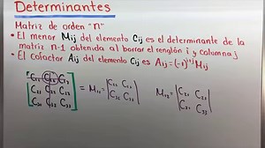 11K views · 321 reactions | En este vídeo explicamos como resolver determinantes de orden 2, orden 3 etc.Más vídeos de álgebra de matrices en nuestro canal en YouTube https://www.youtube.com/c/Profparticularpuebla | Profesor Particular Puebla | Facebook