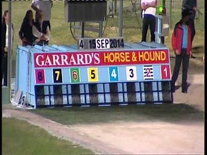 Brisbane Greyhounds Race Replays Monday 15 September