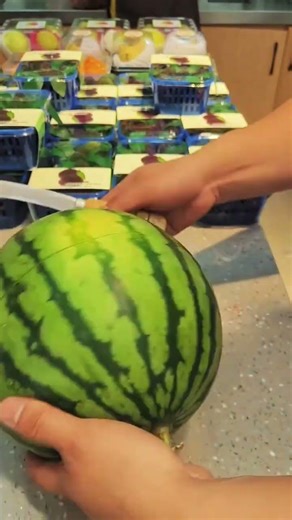 BeautifulWatermelonCarving DesignsWatermelonCarvingArt Easy&Stunning IdeasTop WatermelonCarvingIdeas