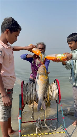 Tempting Carp Fish Bait throwing for shark hunt #fishinglife #fishing