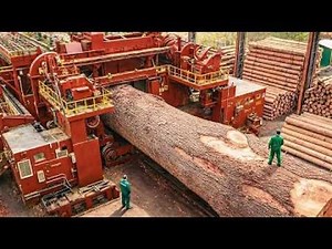 Visiting America’s Largest Lumber Company: A 120-Year Legacy of Lumber, Plywood & OSB Excellence