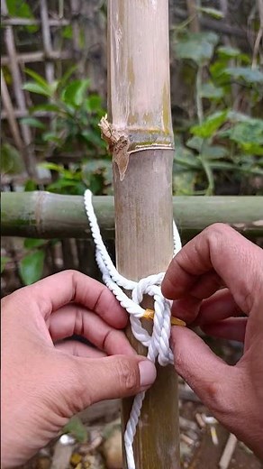 Common Lashing Technique in 18 Seconds