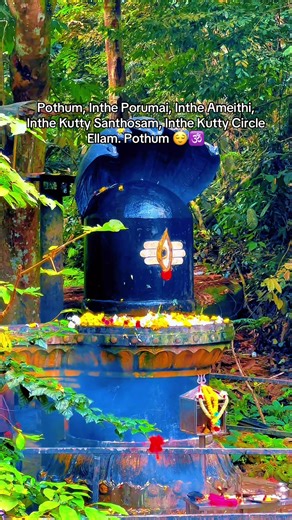 Ithu Maatum Pothum: A Journey of Emotions