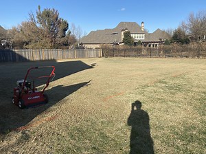 Dethatching questions