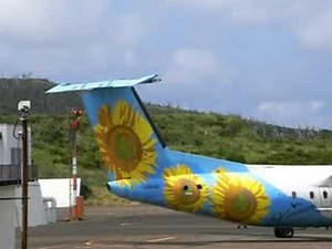 A-net ひまわり号 エンジン始動。(DHC-8 Q300 JA802K)