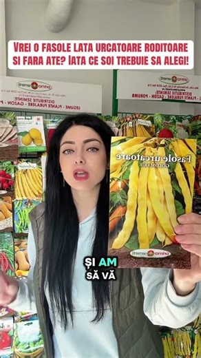 Do you want a productive, stringless climbing broad bean? Here's which variety you should choose!...