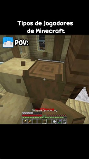 Tipos de jogadores de Minecraft...