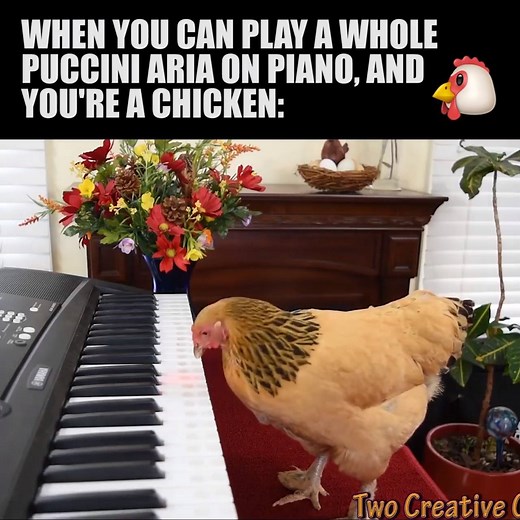 (via storyful) | Classic FM