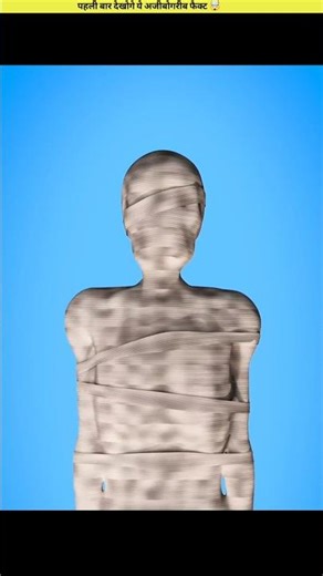 the process of mummification #facts #mystery