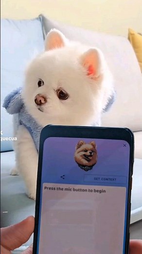 AI-Powered Dog Translator App - Barkly