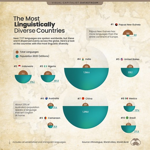 These countries have the highest linguistic diversity in the world