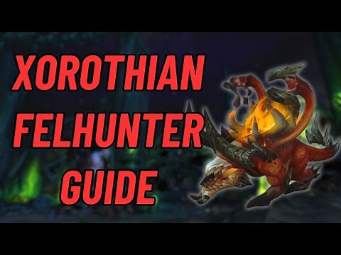 Grimoire of the Xorothian Felhunter Guide | 4K World of Warcraft | Dragonflight