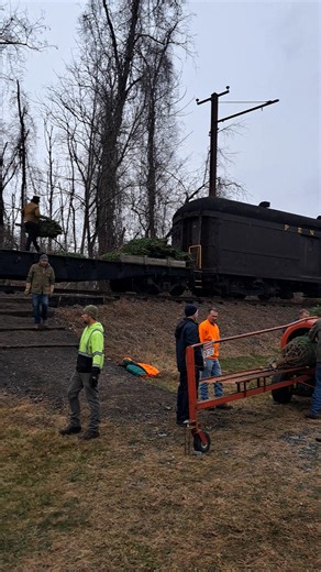 Great family fun at Wiggins Christmas Tree Farm as the Train loaded up everyone's trees to take back to the town! A little snow was mixed in! | Michael Anderson