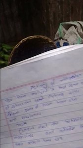 how to write an article