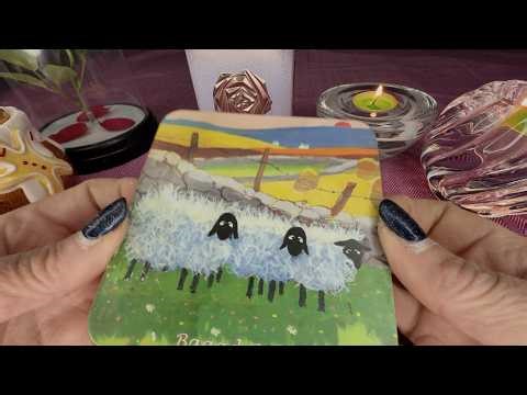 ASMR Random Items 🧸 | Tapping, Scratching & Relaxing Sounds