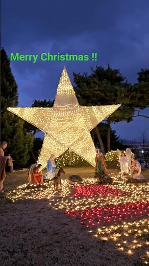 크리스마스에는 모든이에게 축복이 함께 하길~~ #메리크리스마스 #공세리성당 #천주교성지 #merrychristmas #아산성당