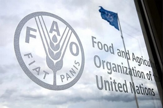 Free, Prior and Informed Consent (FPIC) | Indigenous Peoples |  FAO