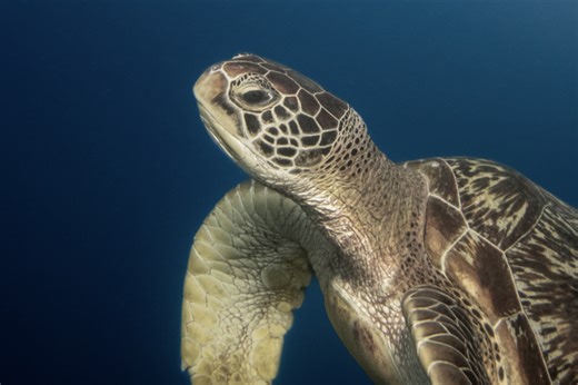 Out now: February 2026's Geographical issue