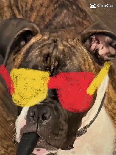 We can boogie on down