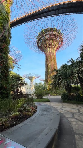 Daniel De Ruvo | be your best self. #performer #dancer #artist #travel #gym | Instagram