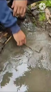 7K reactions · 216 shares | 7KD sign meaning treasure under big stone | Ronan Alipin | Facebook