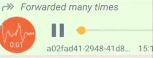 Hilarious Traveler Boxing Moments You Can't Miss