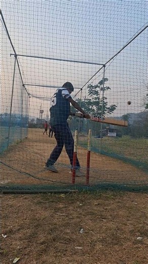 CRICKET Fans Can Master the Reverse Ship Shot