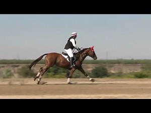 Sarah Kruger (Twain's Fireflight DF) - Ram Tap National Horse Trials October 2025