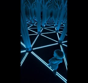 Mirror maze adventure takes a painful turn when toddler mistakes reflection for the way forward