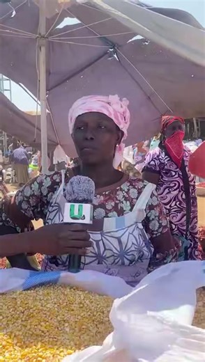 Female maize farmers & traders are the hardest hit in this maize crisis of lack of ready buyers. Support Female Maize Farmers by buying your maize from Maize King. Nationwide Delivery available #SaveMaizeFarmers #MaizeKing #Maize #Corn #YellowMaize