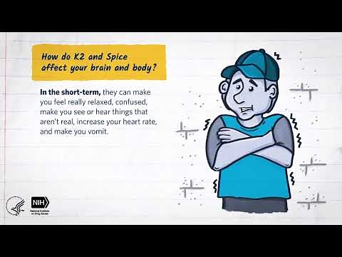 Mind Matters: The Body’s Response to K2/Spice