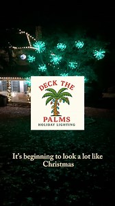 50 shares | ✨ Light up your holidays with Deck The Palms! ✨ We set...