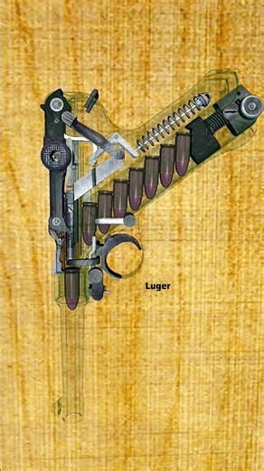 LUGER 👀🌍👀 #shorts 👀🌍