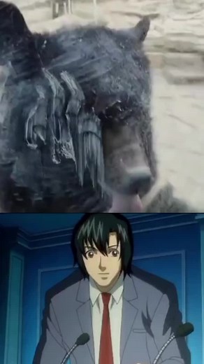 #meme #rec #fyp #мацуданесмейэтоделать