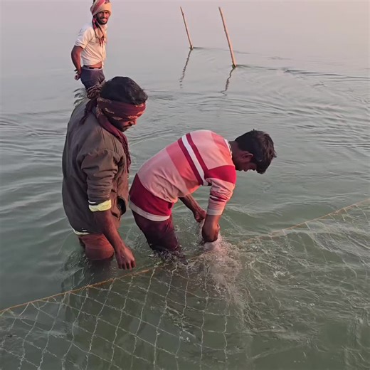Fish hunting 2 on Instagram: "The great battle of catching big fish by placing nets in the flowing water of river Ganga #fishing #catfish #Monsterfish #Fishhunting2"