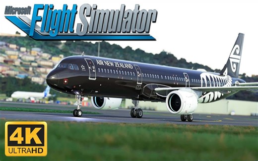 (4K) 微软模拟飞行 2020 - MAXIMUM GRAPHICS - 降落惠灵顿机场