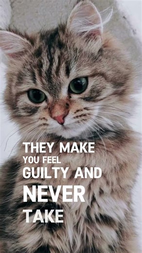 Emotional Healing #27: ​5 Types of People to Cut Out IMMEDIATELY ✂️ #lifelessons #viralshort #cat