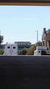 5.5K views · 884 reactions | POV—2025 NCHA Metallic Cat World Championship Futurity ‼️ #ncha #nchacutting #nchastrong #nchafamily #nchafuturity | National Cutting Horse Association | Facebook