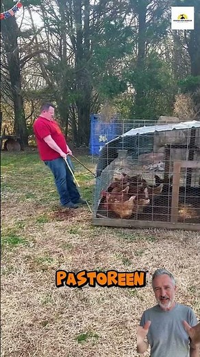 This is how a self-sustaining mobile chicken coop works 🥚🥚 Share this information 👉👉 #farm #poult...