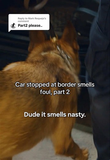 Replying to @Mark Requejo Officers at the McAllen-Hidalgo International Bridge further investigate the foul-smelling car, and what they uncover may shock you…. #Contraband: Seized at the Border, Mondays at 8P on Discovery. #borderpatrol #Mexico