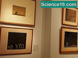 Helilaine katsed lastele 💫 Teaduslikud Ja Populaar-Multimeedia Portaal. 2025