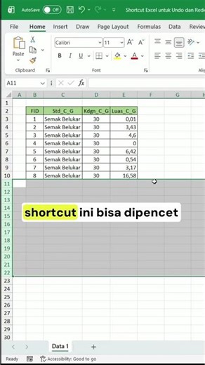 Excel Shortcuts for Undo and Redo #computertutorial #excel #exceltutorial #exceltip #excelshortcut