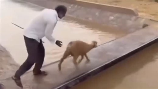 Ilja Gort Château Gort & Gort on Instagram: "Wie raadt welk spreekwoord hier wordt uitgebeeld, mag vanavond een extra glaasje Gort & Gort Bordogne Pinot Noir verboden wijn nemen. Alvast Santé!😇👍🏽🍷🍷"