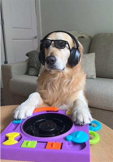 Subtronics' Fantasmic Disneyland Experience Explained