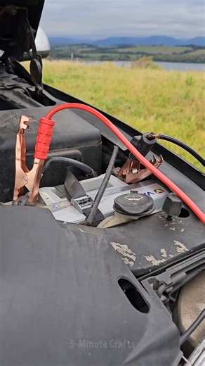 261K views · 881 reactions | Fire Starter Hack  | 5-Minute Crafts | Facebook