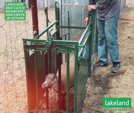 Top Head Gate Buying Tips for Happy Farming | Customer Testimonial