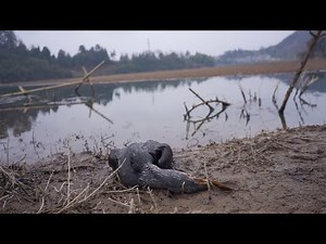 The fish was bigger than expected; here's what happened